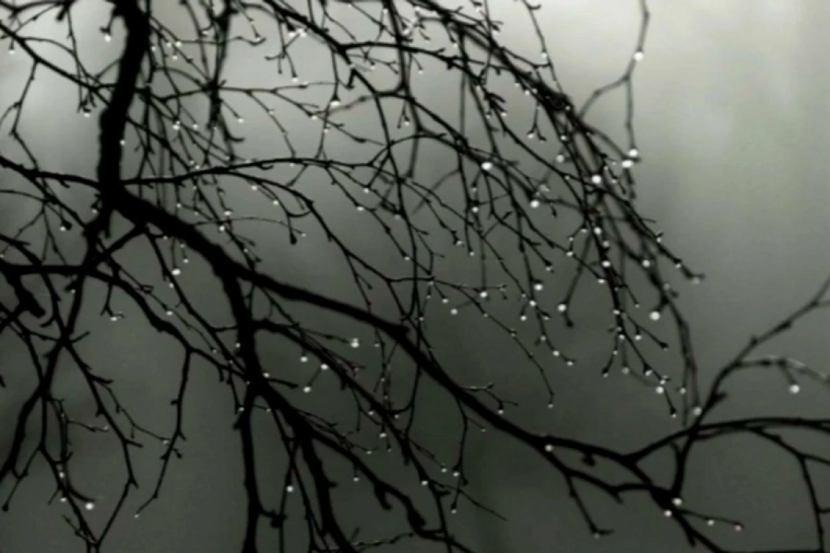 Şənbə günü [[çiskinli yağış]] yağacaq