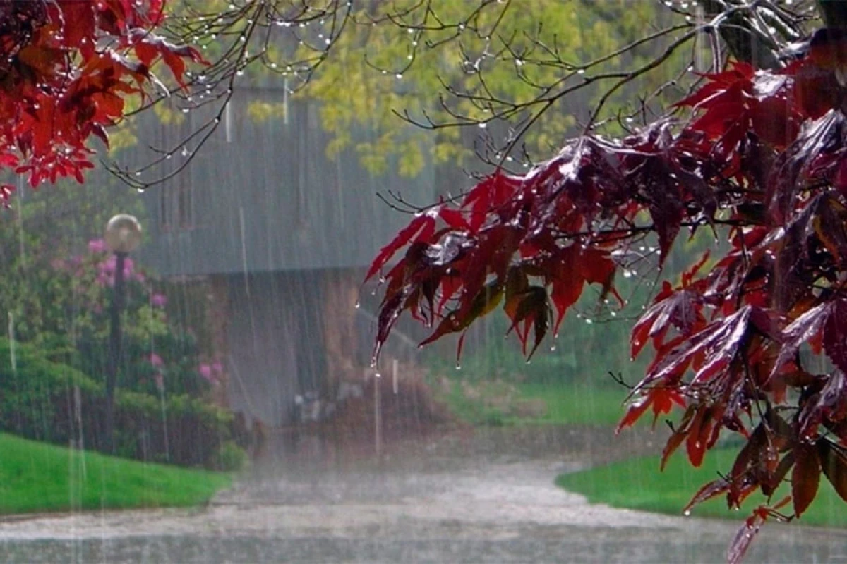 Yağıntılı hava şəraiti davam edir [[- FAKTİKİ HAVA]]