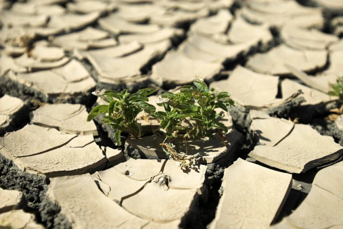 [[ABŞ:]] İqlim dəyişikliyi dünya üçün fəlakətdir