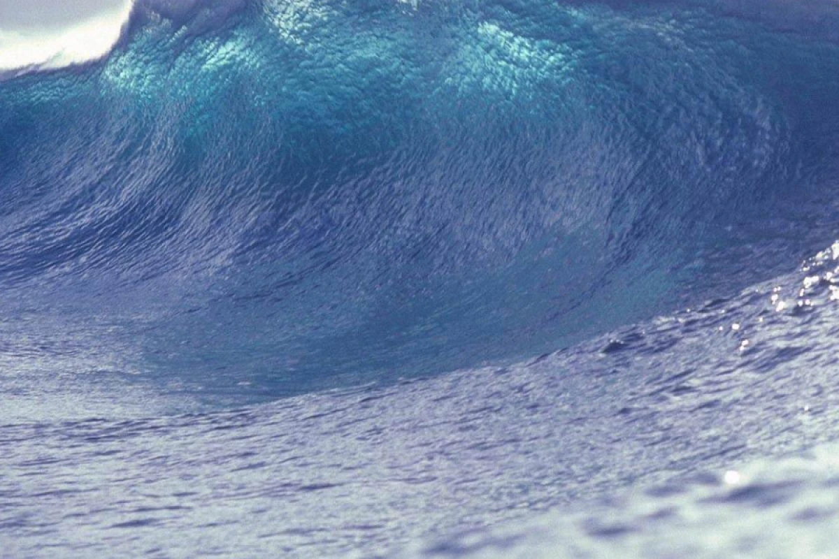 Yaponiyada [[sunami başladı]]