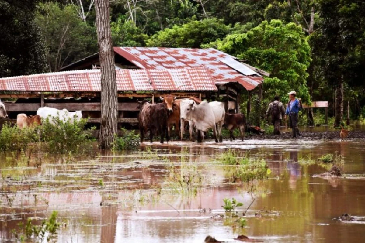 Boliviyada daşqınlar nəticəsində [[20 nəfər öldü]]