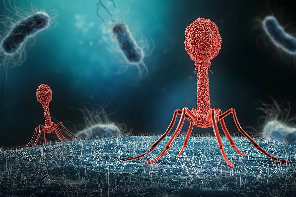 Dünyada yeni virus [[sürətlə yayılır]]