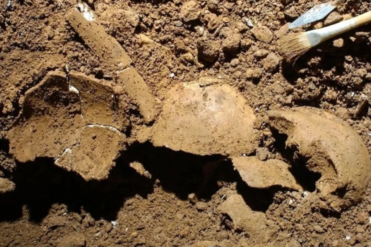 İtaliyada ata–qız insestinin [[ən qədim sübutu]] aşkarlandı