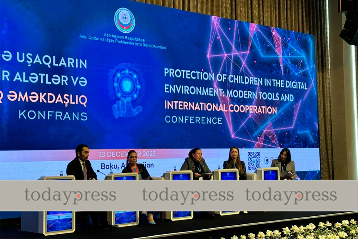 [[Alev Ecevit:]] “ŞKTR-də kiberzorakılıq halları artır”