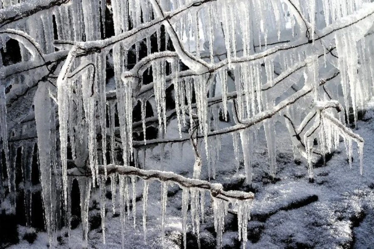 9 dərəcəyədək şaxta qeydə alındı [[- FAKTİKİ HAVA]]