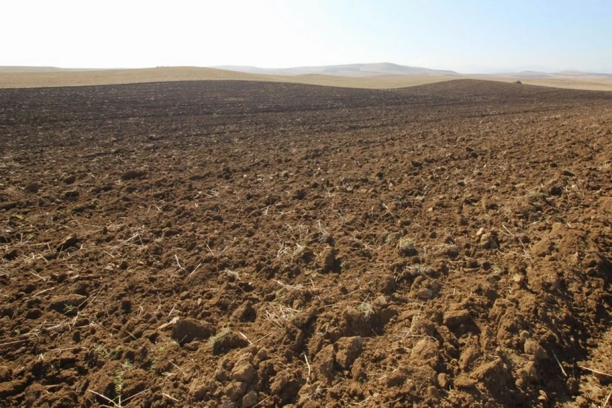 Növbəti [[torpaq hərracları]] keçiriləcək