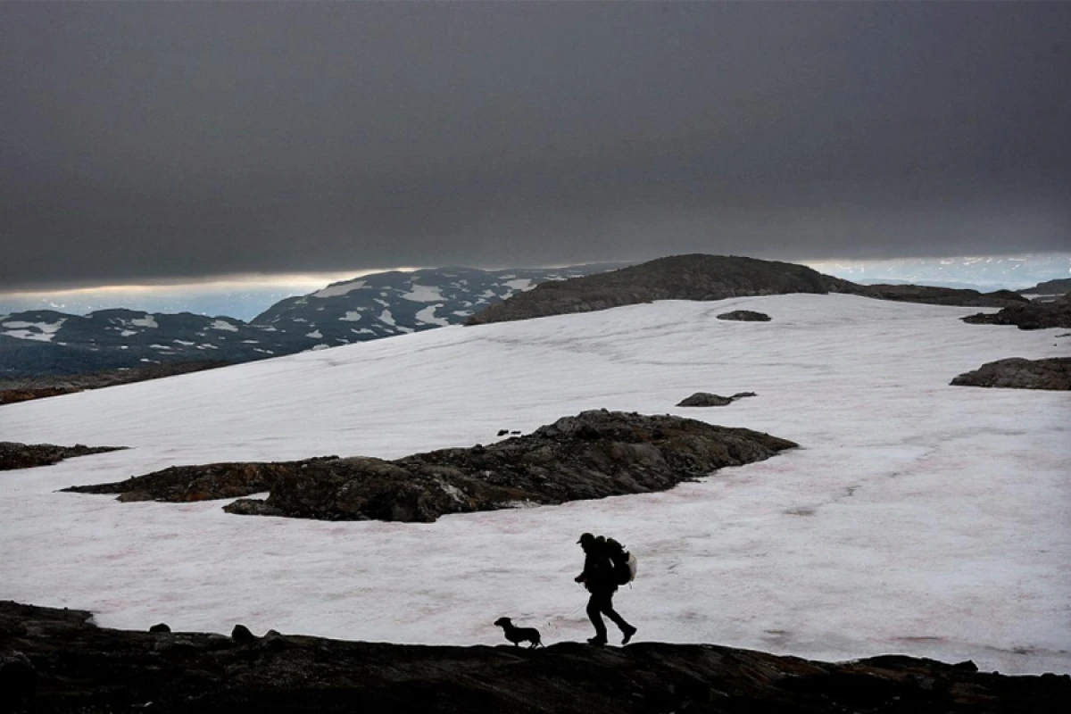 Norveçin [[Breyfonn buzlağı]] yox olmaq üzrədir