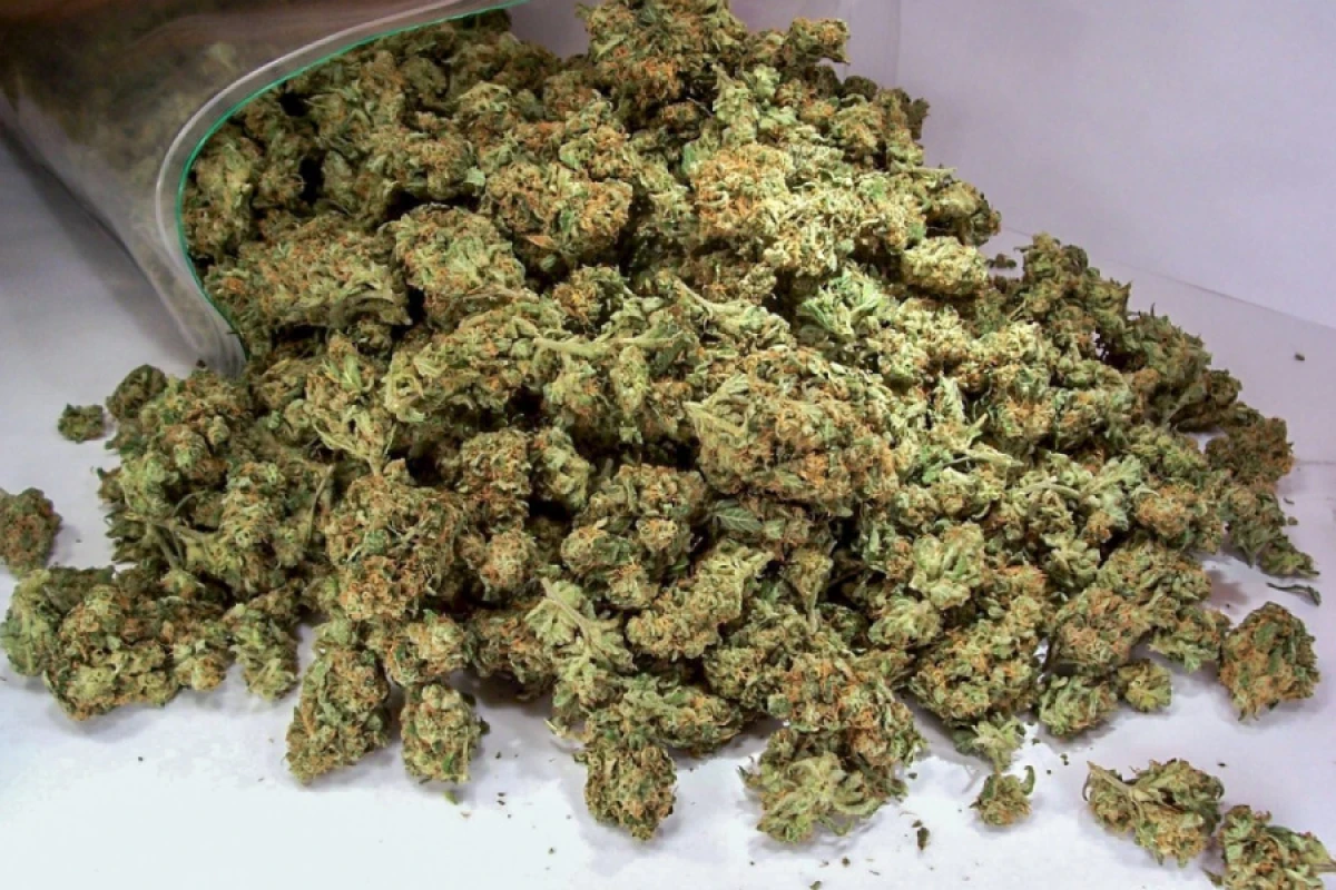 Bakıda [[29 kq marixuana]] aşkarlandı