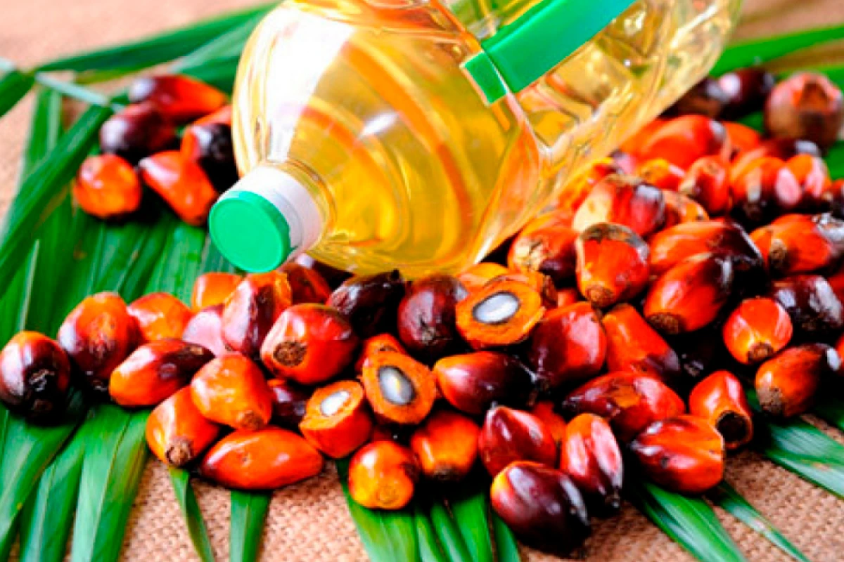 Palma yağı ilə bağlı qorxular əsassızdır [[– AİB sədri]]