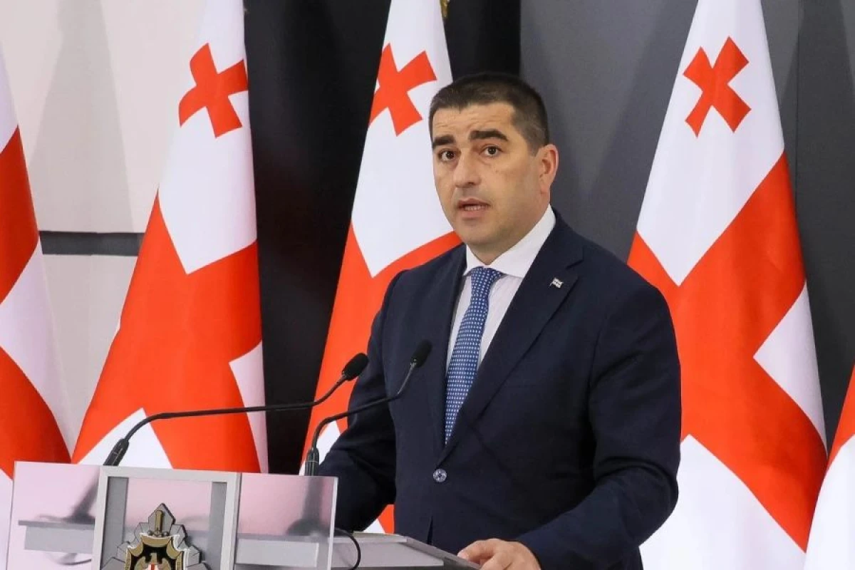 [[Papuaşvili:]] "Gürcüstan Aİ tərəfindən zorakılığa məruz qalır"