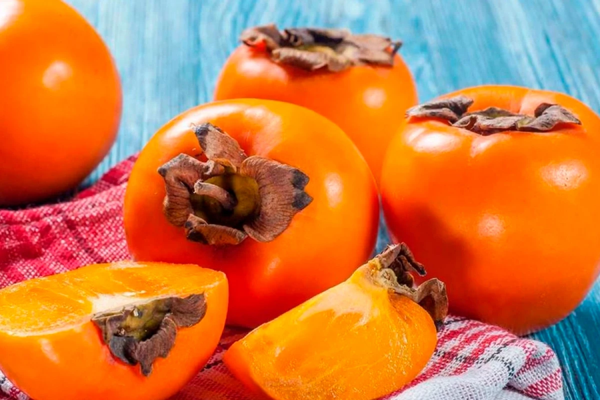 Latviyaya [[xurma tədarükü]] bərpa edildi