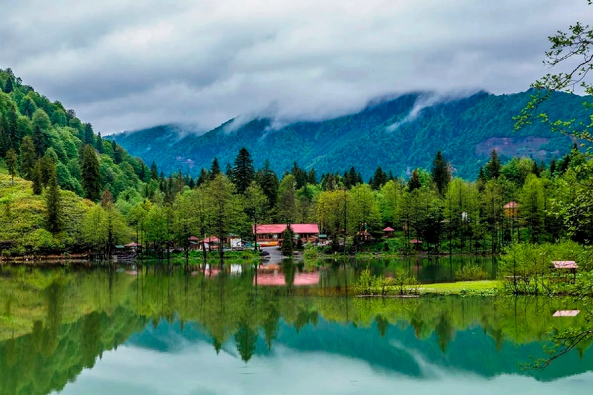 Milli parklarda [["açıq qapı" günü]] keçiriləcək