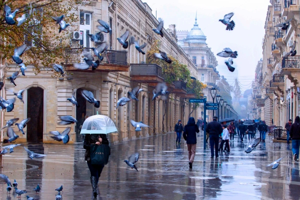 Bakıya yağış, rayonlara qar yağacaq [[- SABAHIN HAVASI]]