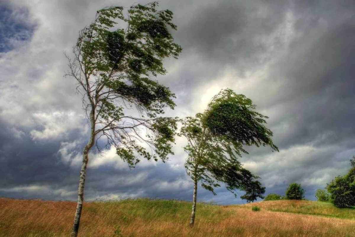 Bəzi yerlərdə külək güclənəcək [[- XƏBƏRDARLIQ]]