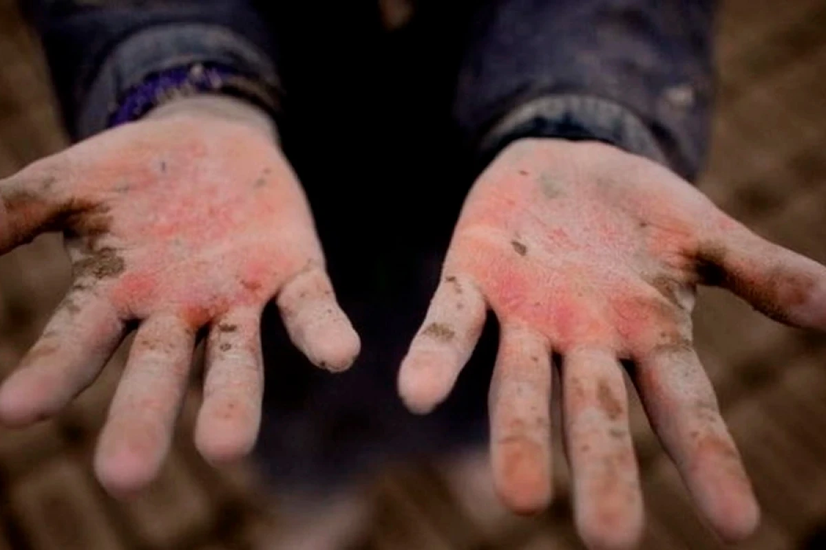 Uşaq əməyinə görə [[məsuliyyət sərtləşdiriləcək]]