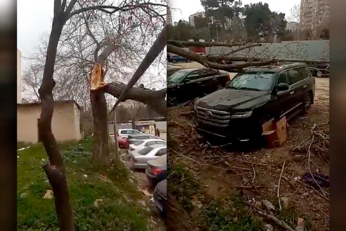 Güclü külək avtomobilləri [[MƏHV ETDİ - Zərəri kim ödəməlidir?]]