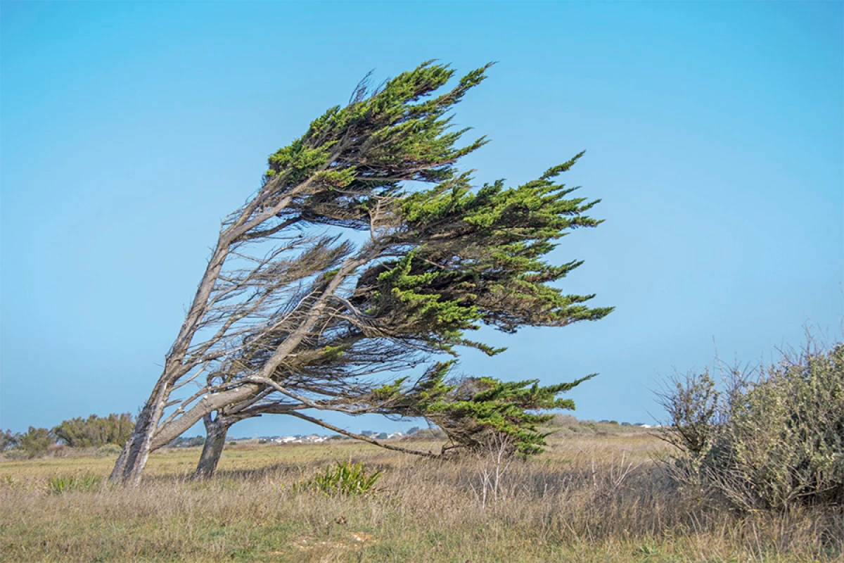 Bəzi bölgələrdə güclü külək əsəcək [[- XƏBƏRDARLIQ]]