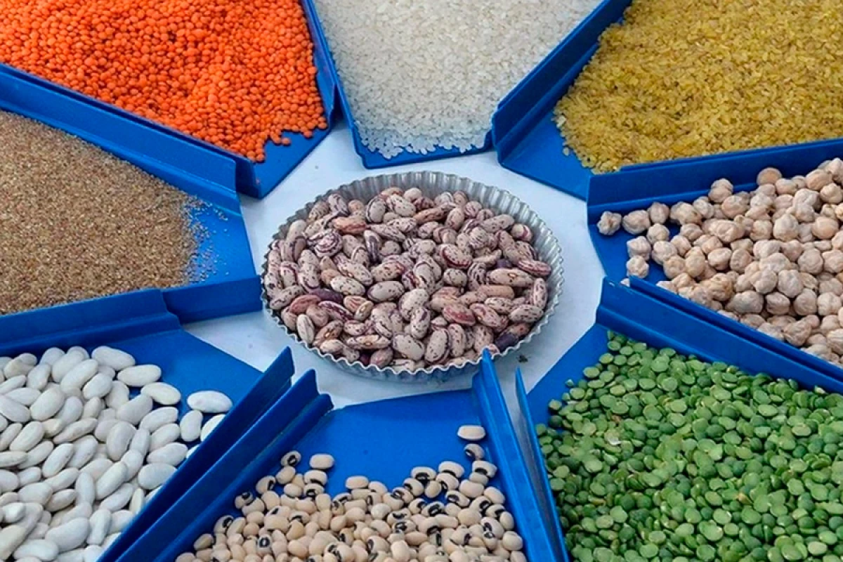 Türkiyədən [[taxıl və paxlalı idxalına çəkilən xərc]] azaldı