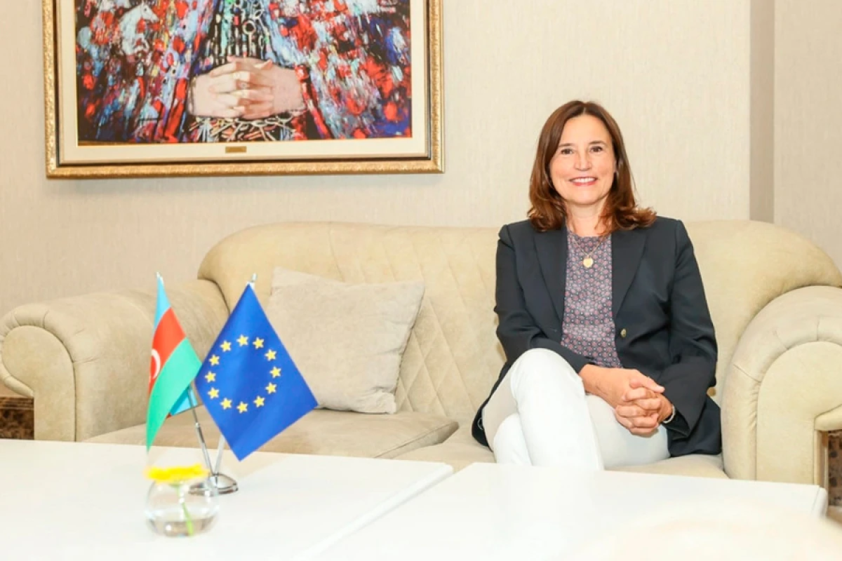 [[Aİ səfiri:]] İqlim fəaliyyətinə bu gün edilən investisiya gələcək riskləri azaldır