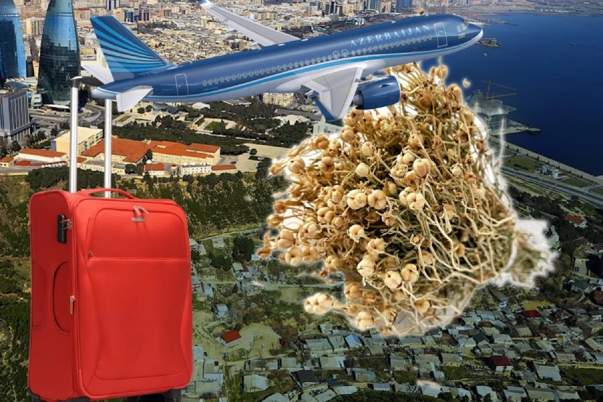 AZAL Rusiyaya üzərlik aparan vətəndaşlara [[xəbərdarlıq etdi]]