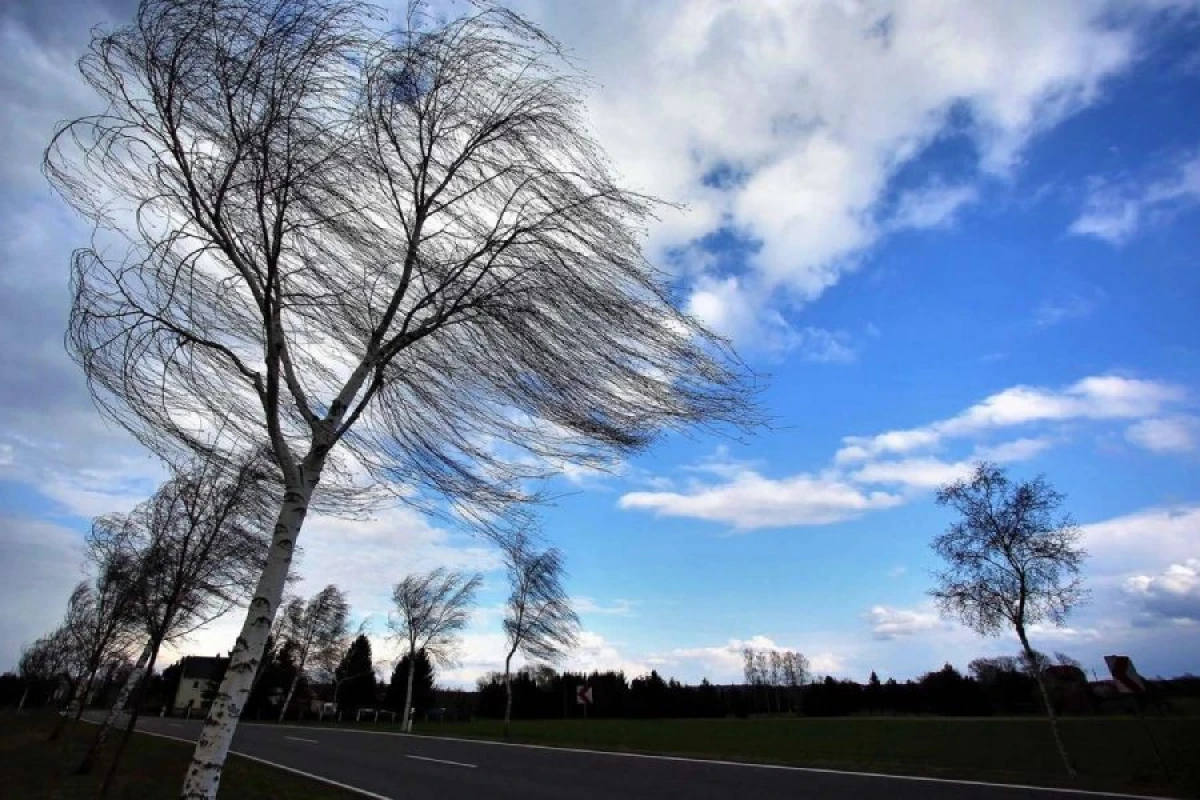 Küləyin gücü [[azaldı]]