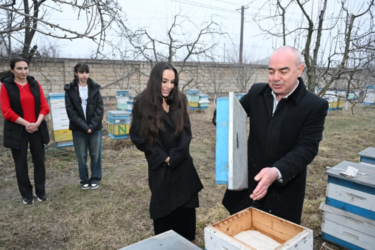 [[Leyla Əliyeva]] Qubada arıçı ailəsinin qonağı oldu