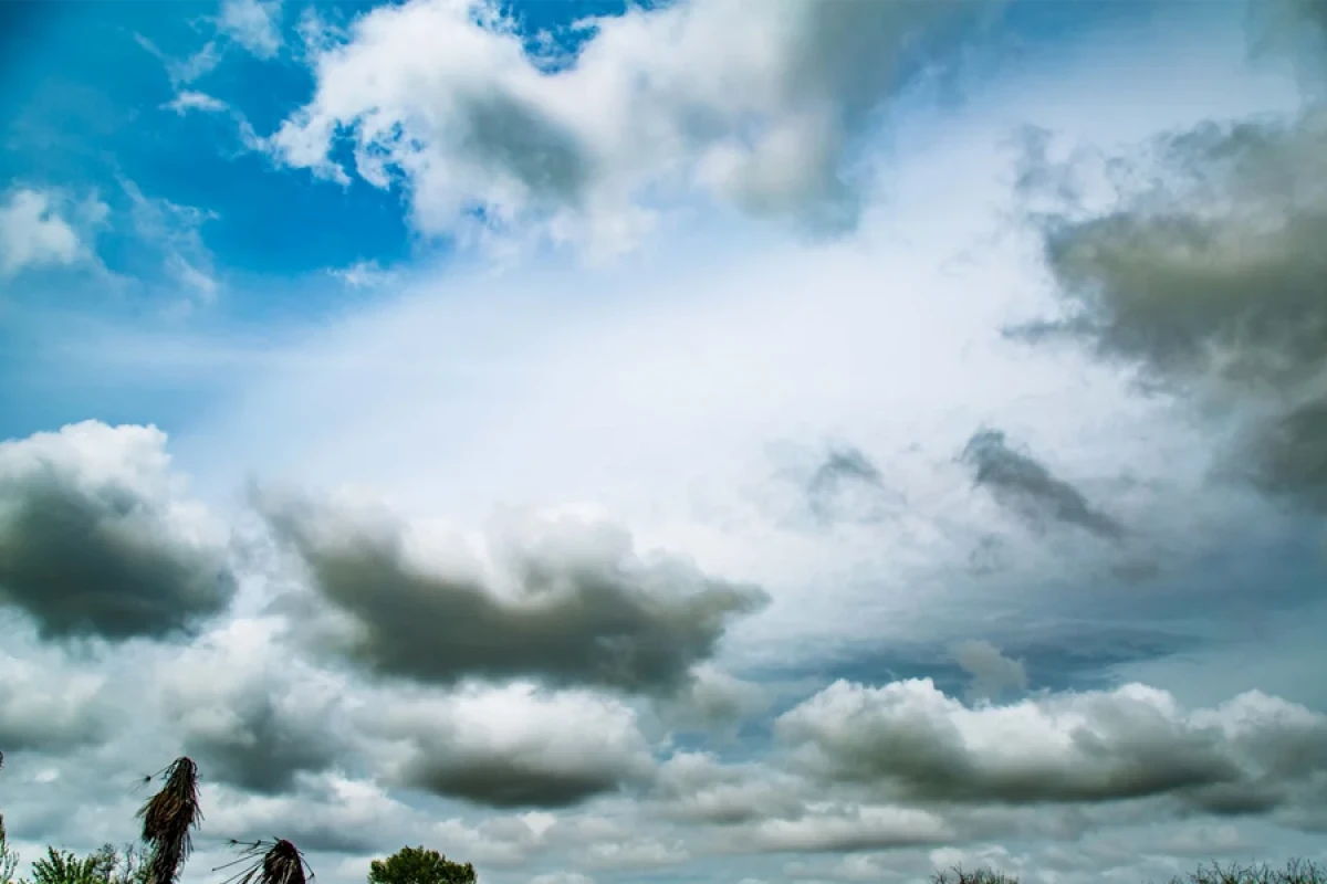 Sabah hava [[yağmursuz olacaq]]