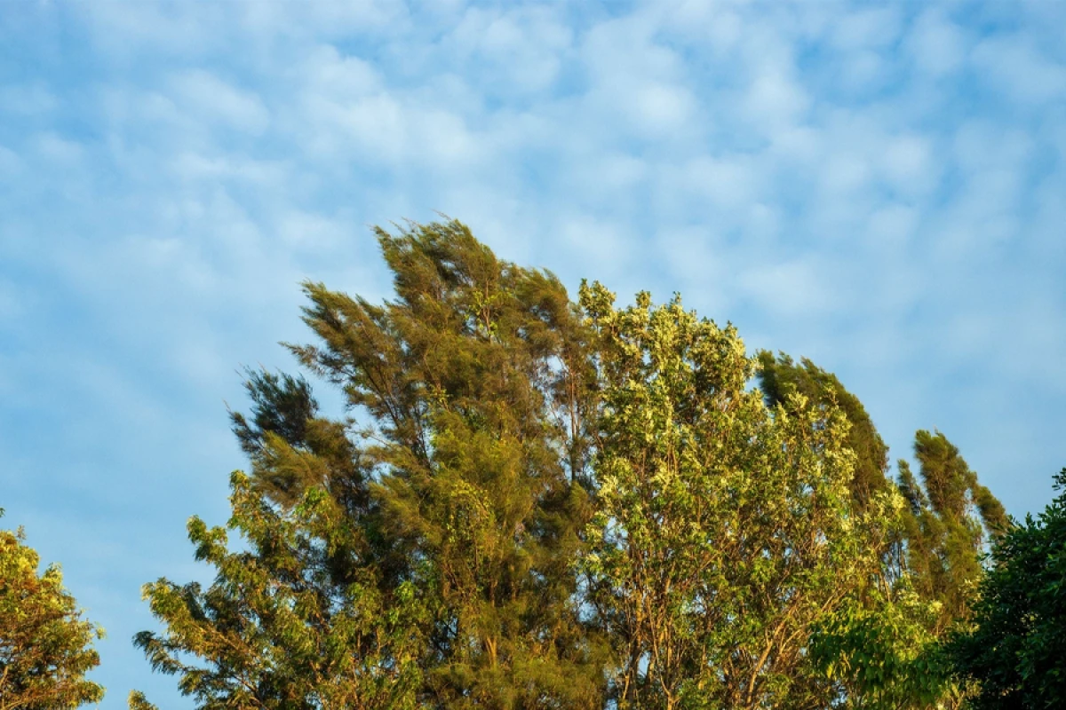 Küləkli hava şəraiti ilə bağlı [[sarı və narıncı xəbərdarlıq]] verildi