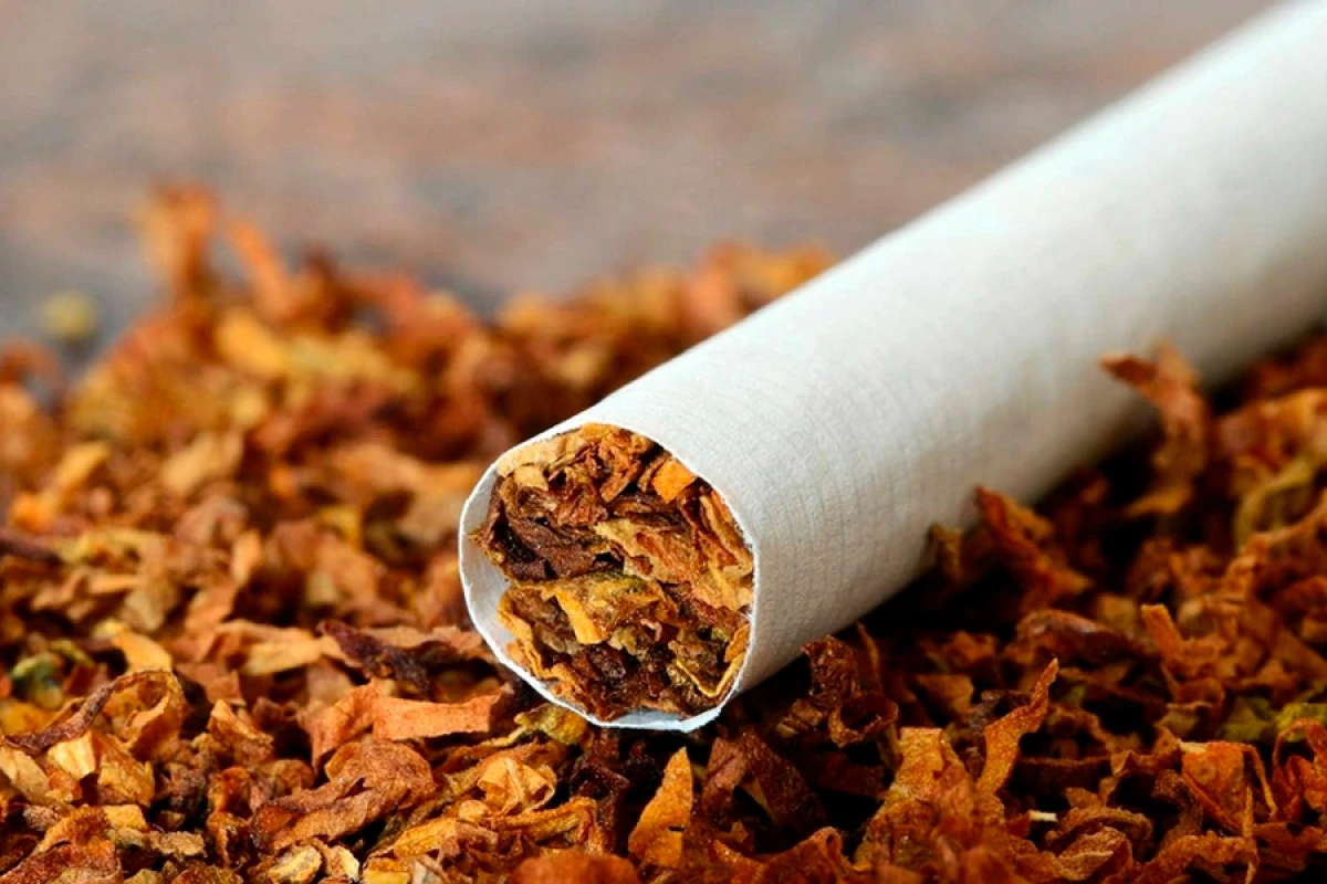 Siqaret istehsalı [[38%-dən çox]] artdı