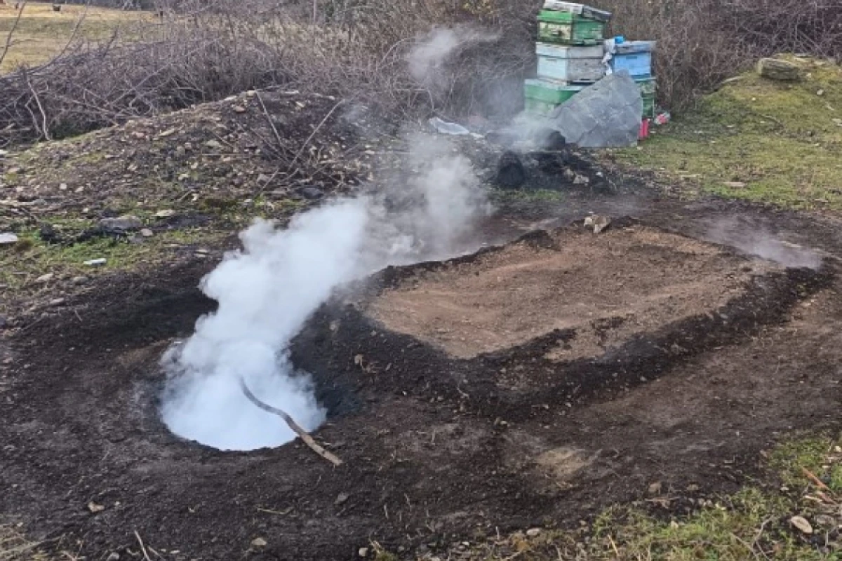 Bu rayonlarda [[qanunsuz kömür quyuları]] aşkarlandı