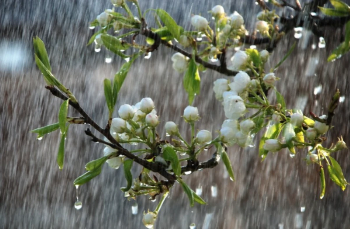 [[Sabahın hava proqnozu]] açıqlandı