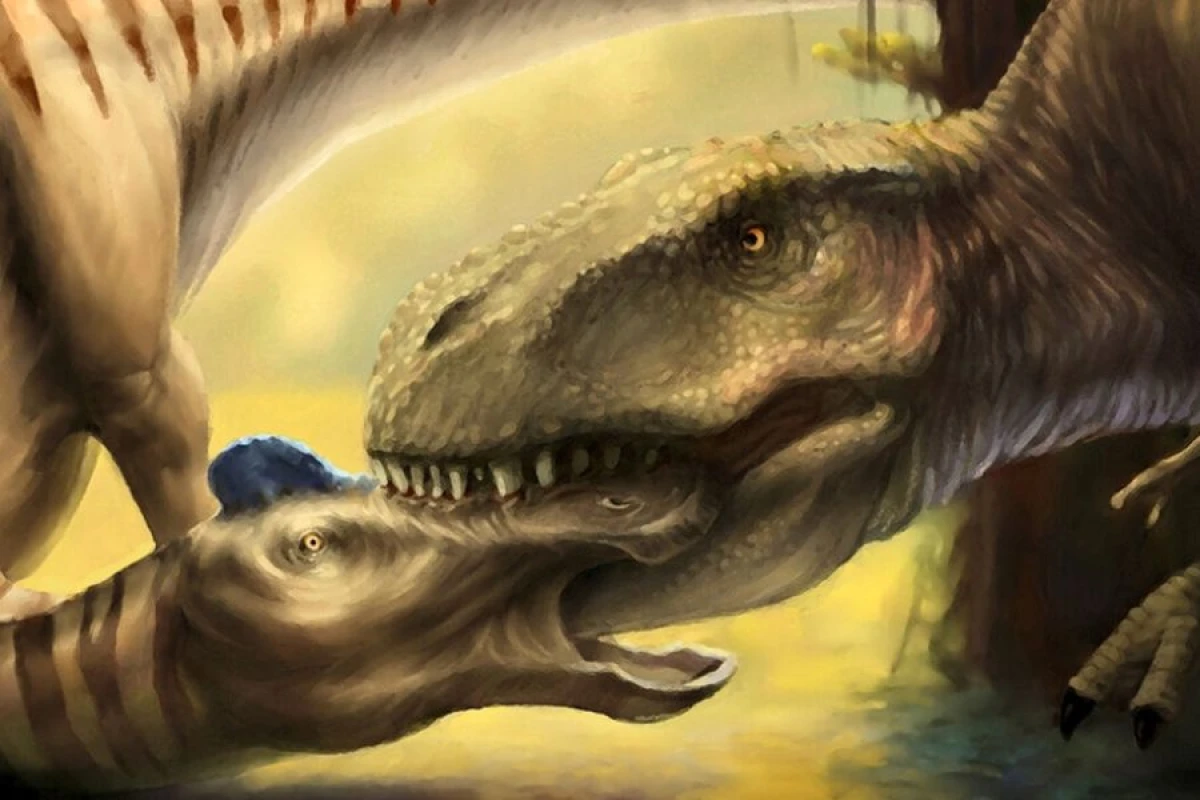 "Tirannosaurus rex"lə bağlı [[yeni kəşf]]
