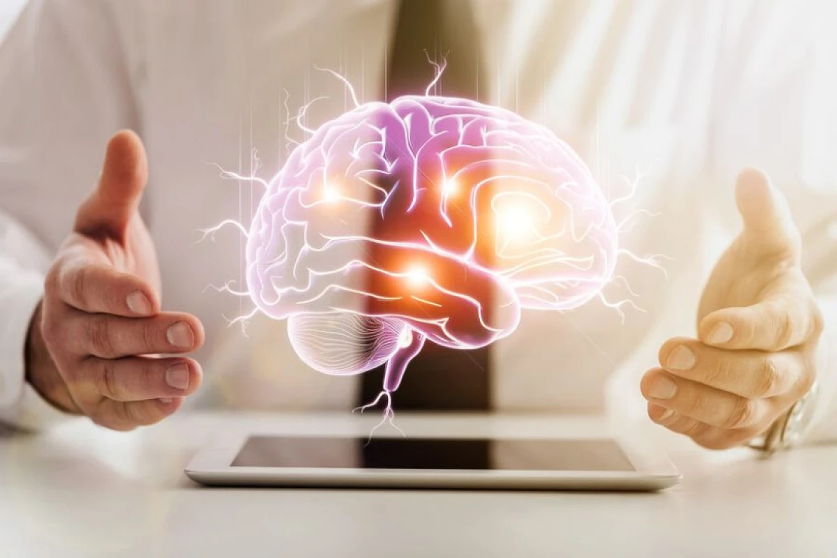 Bağırsaq mikrobiomu idrak geriləməsini [[yavaşladır]]