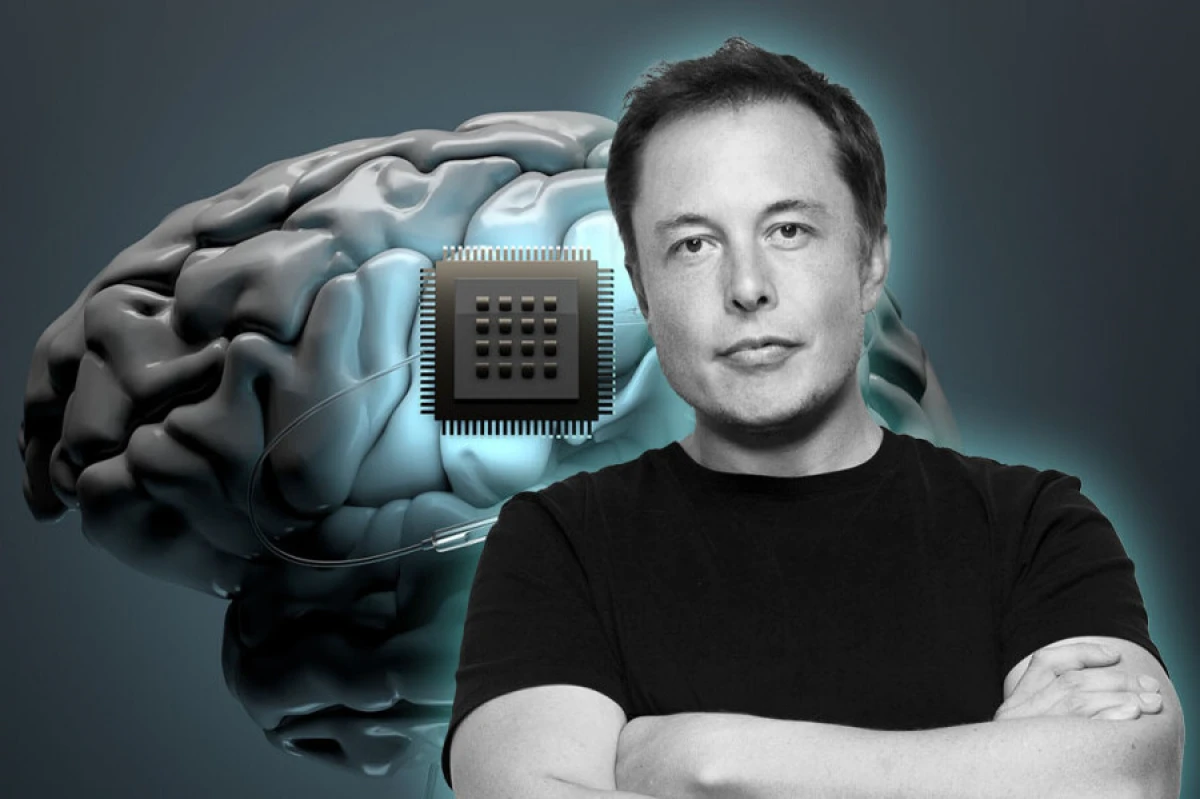 Dünyanın [[ən böyük çip fabriki]] inşa ediləcək