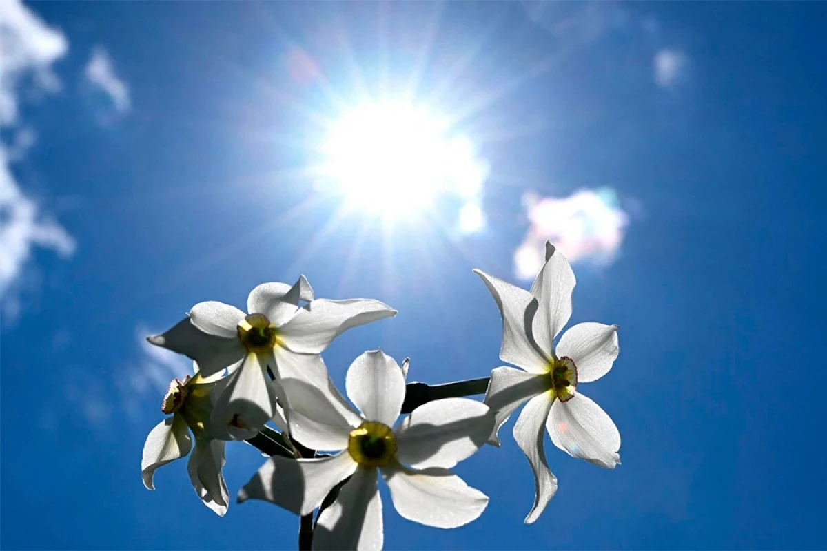 23 dərəcə isti olacaq [[- SABAHIN HAVASI]]