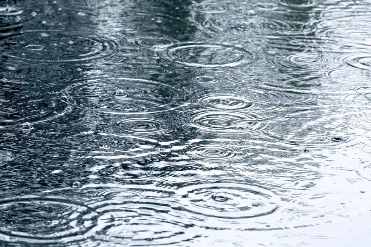 Sabah [[yağış yağacaq,]] bəzi yerlərdə intensivləşəcək