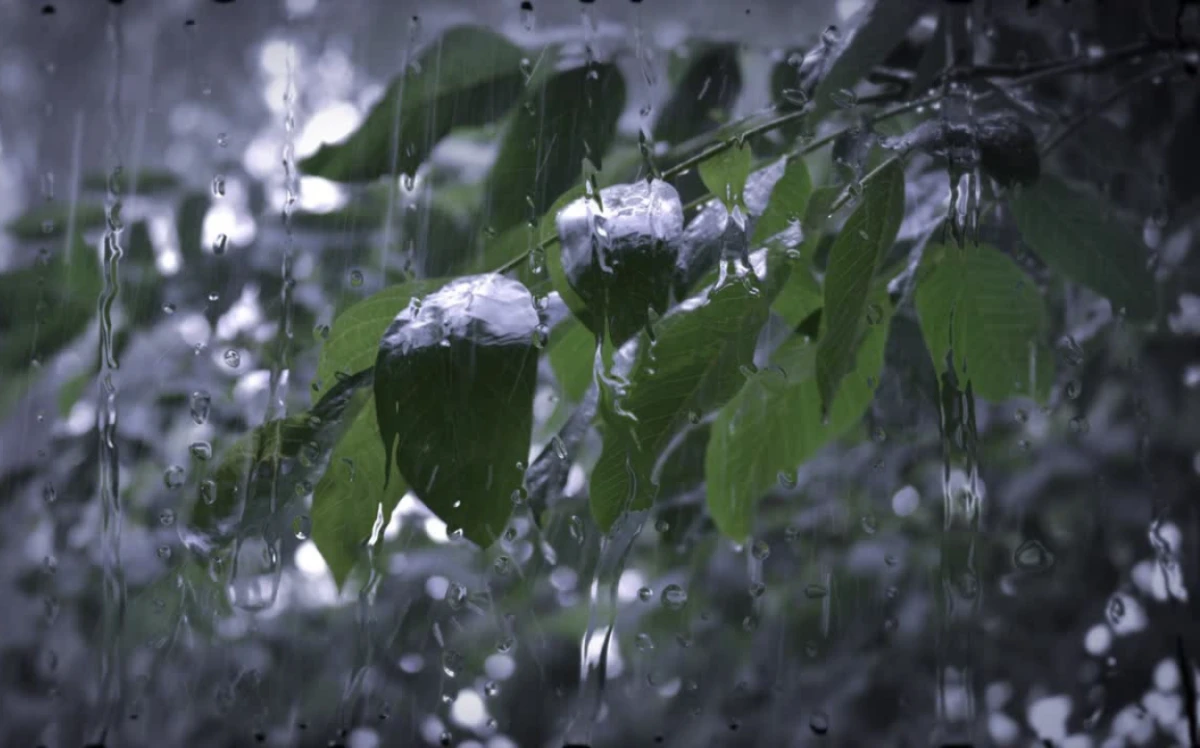 Yağıntılı hava şəraiti davam edir [[- FAKTİKİ HAVA]]