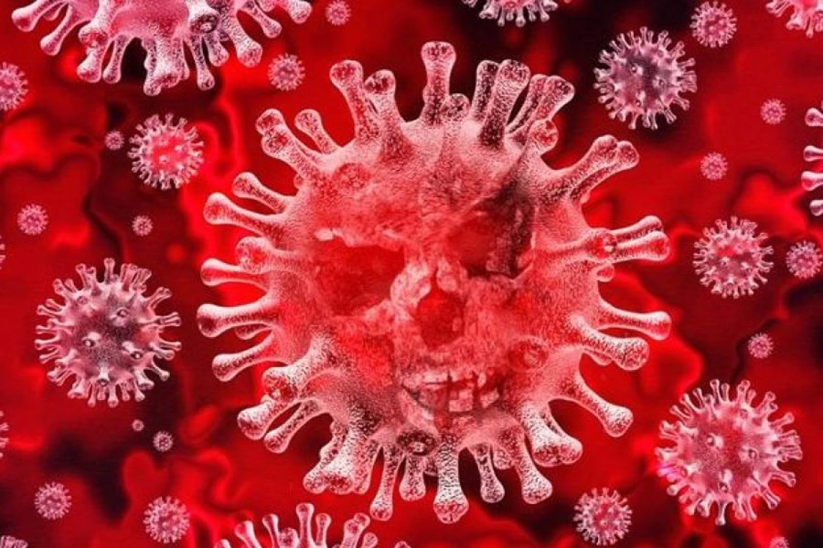 Vəbanın [[yayılma tarixi]] aşkarlandı