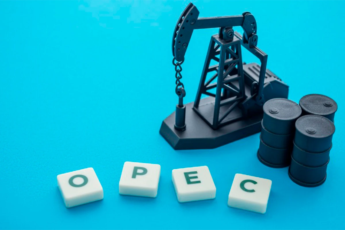 OPEC ölkələrinin [[neft gəlirləri AZALDI]]