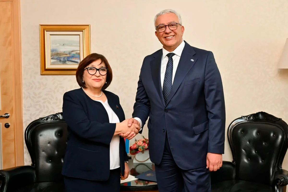 Sahibə Qafarova Andriya Mandiç ilə müzakirələr apardı