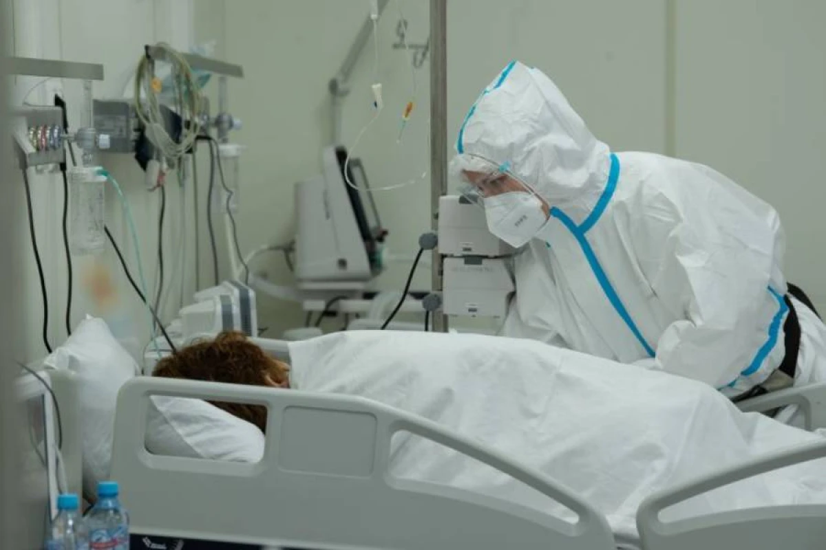 Hantavirus həyəcanı böyüyür - İspaniyada virus şübhəsi