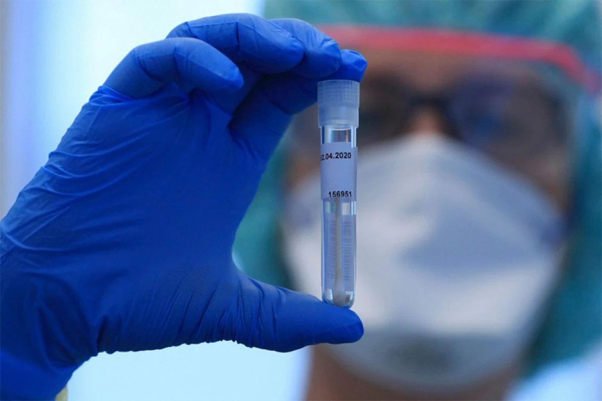 Türkiyədə həyəcan: Hantavirus...
