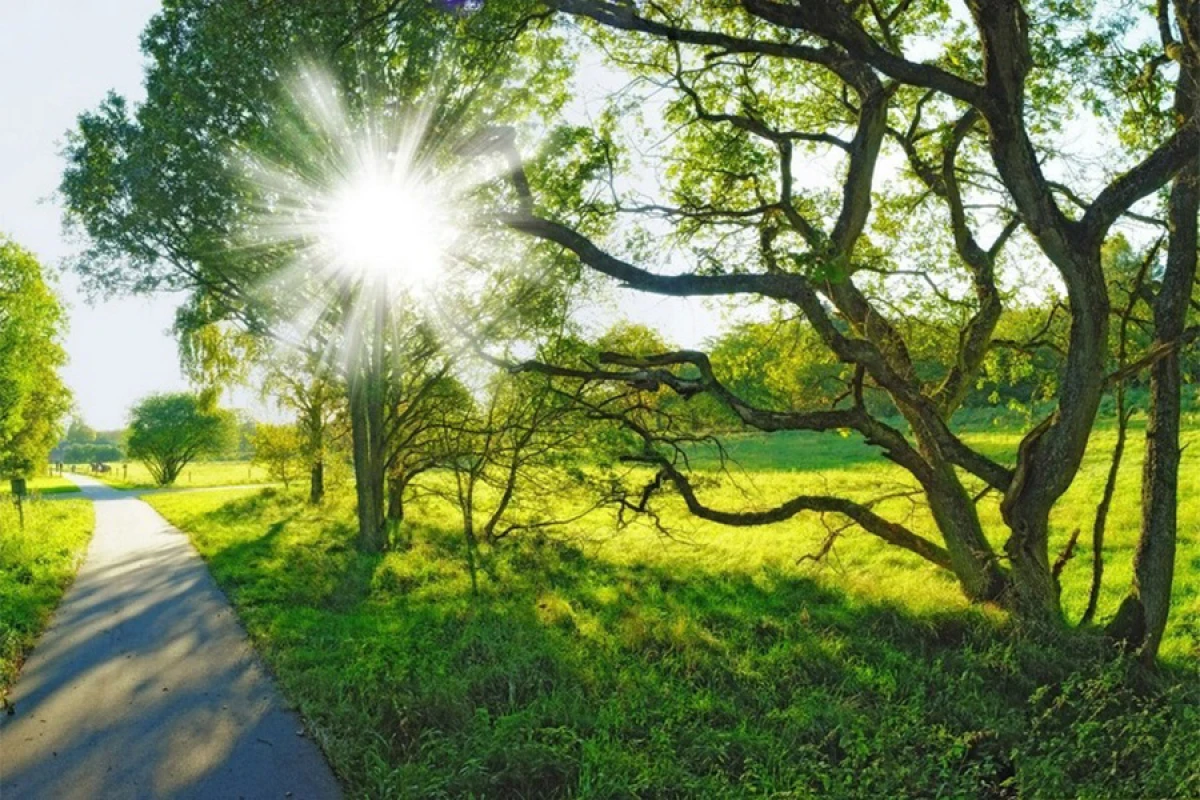 Sabahın havası açıqlandı - Neçə dərəcə istilik olacaq?