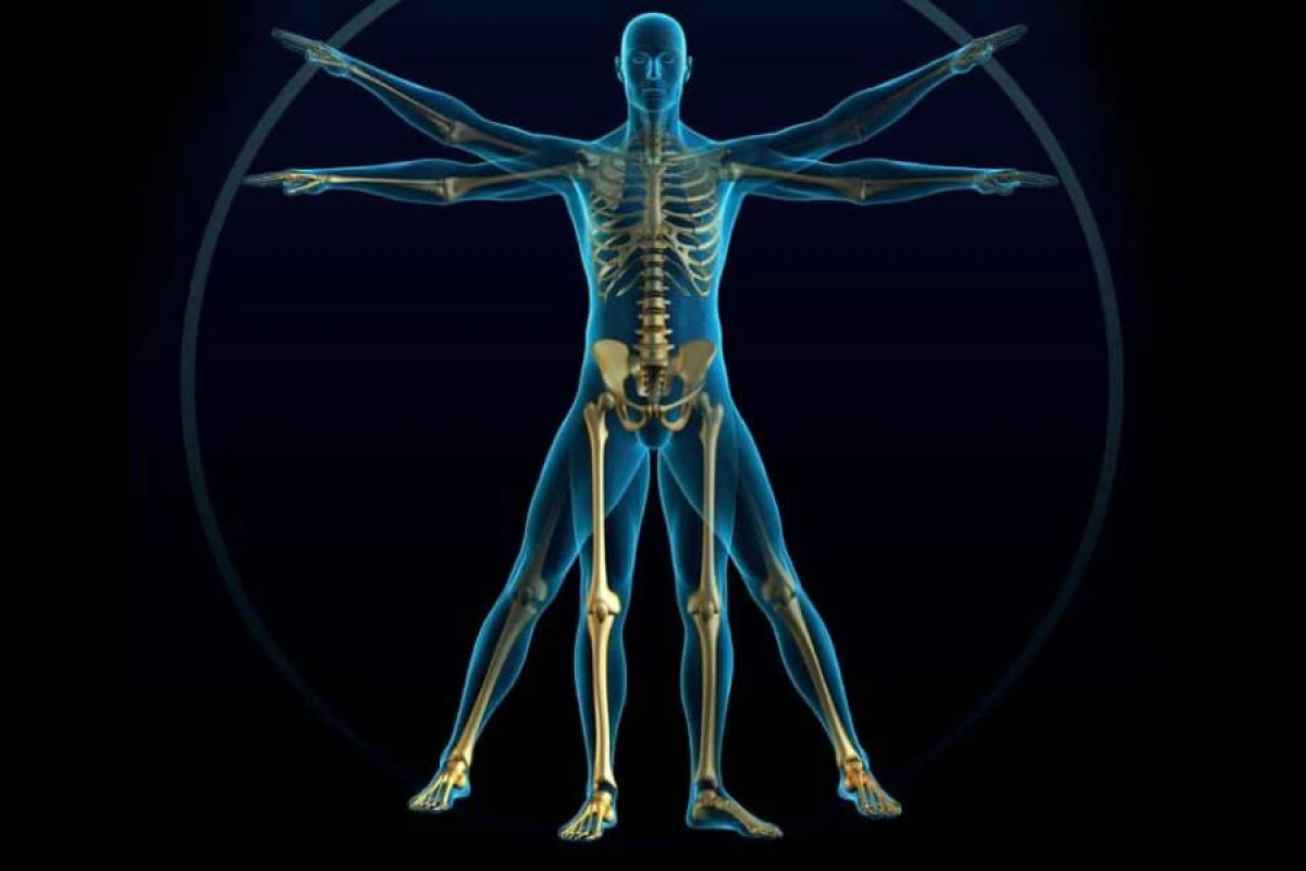 Osteopeniya nədir və niyə təhlükəlidir?