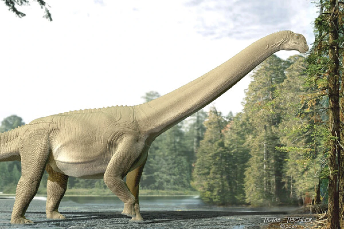 Tailandda nəhəng yeni dinozavr növü aşkarlandı