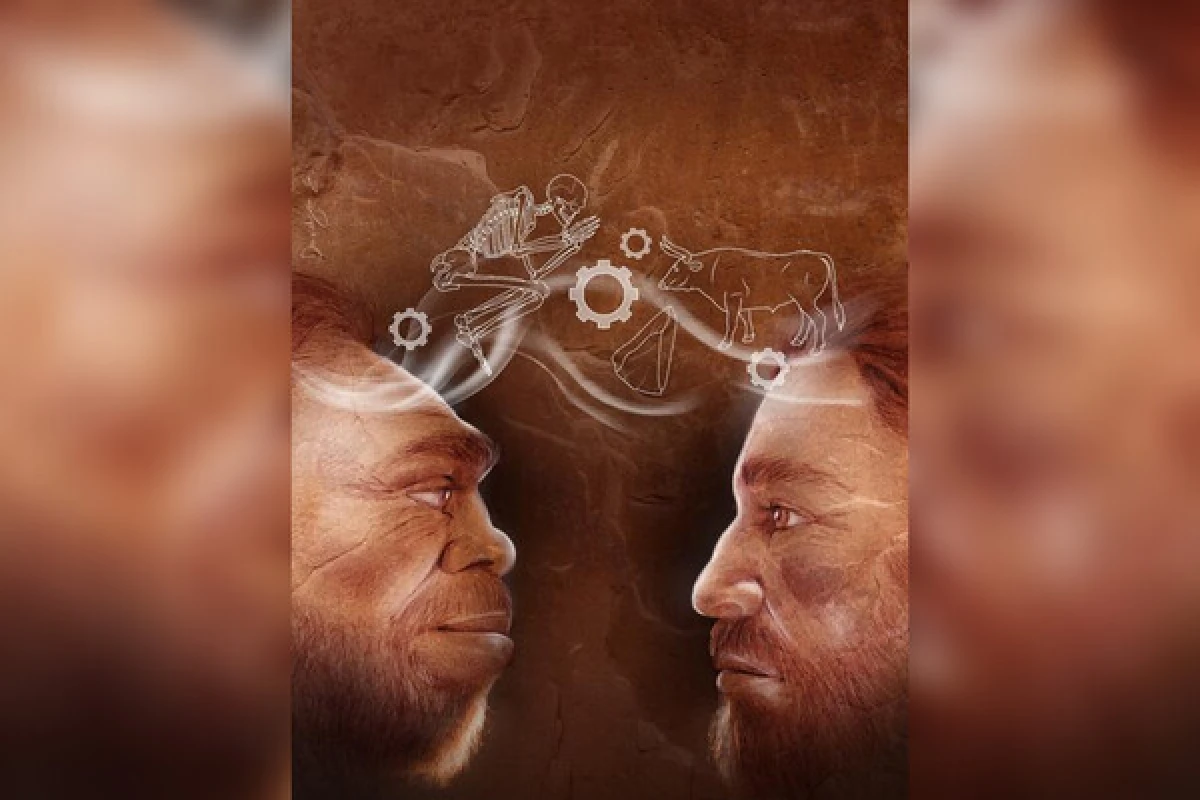 Neandertalların stomatoloji sirləri: 60 min il əvvəl diş əməliyyatı