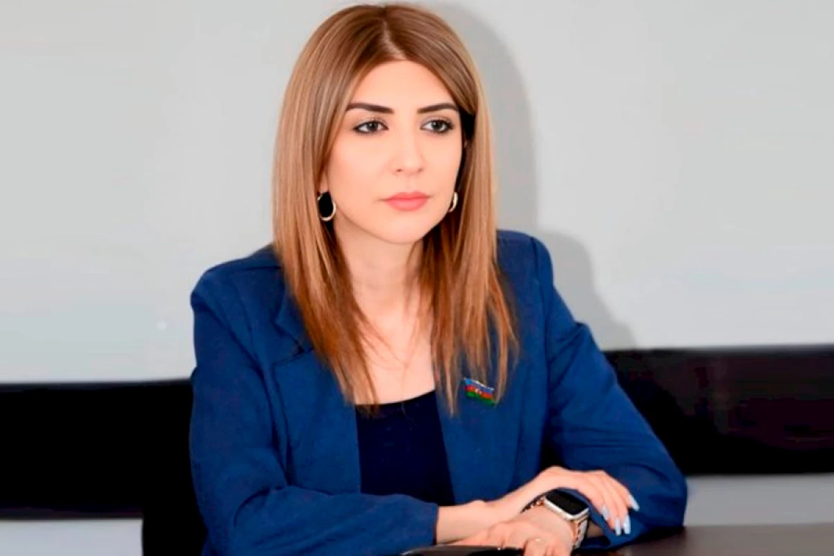 "Uşaqpulu verilsə, kişilər işləməz" - Günay Ağamalı