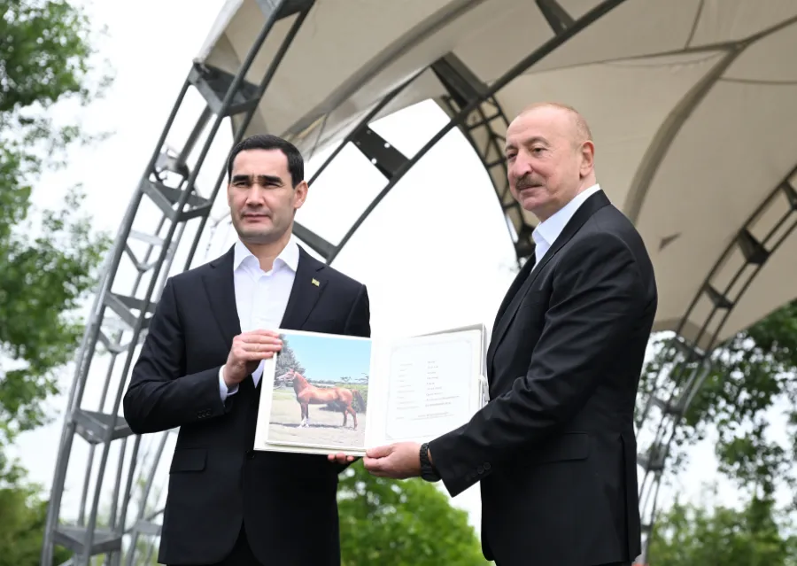 Türkmənistan Prezidentinə Qarabağ atı hədiyyə edildi — 7