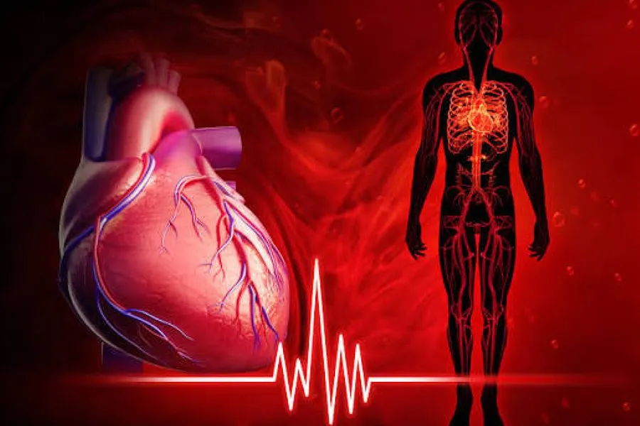 Kardiomeqaliya nədir? Ürəyin böyüməsinin səbəbləri və idarə olunması