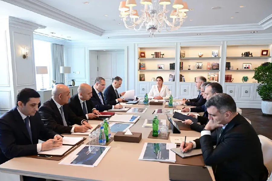 Mehriban Əliyevanın sədrliyi ilə Rəqəmsal İnkişaf Şurasının ilk iclası keçirildi